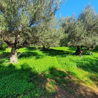 Земельный участок в Греции