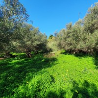 Земельный участок в Греции