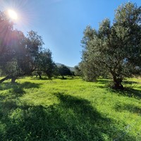 Земельный участок в Греции