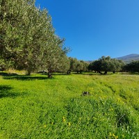 Земельный участок в Греции