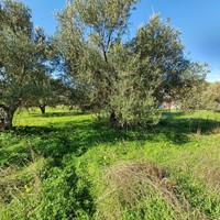 Земельный участок в Греции