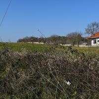 Land plot in Greece