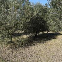 Other in Greece, 120 sq.m.