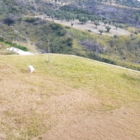 Другое в Греции, 108 кв.м.