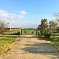 Other in Greece, 600 sq.m.