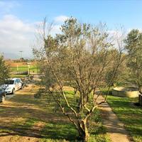 Other in Greece, 600 sq.m.