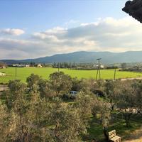 Other in Greece, 600 sq.m.