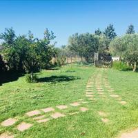 Other in Greece, 220 sq.m.