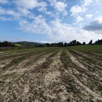 Land plot in Greece