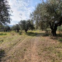 Land plot in Greece