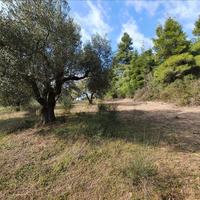 Land plot in Greece