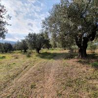 Land plot in Greece
