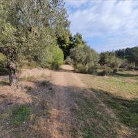 Land plot in Greece