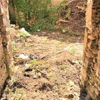 Другое в Греции, 110 кв.м.