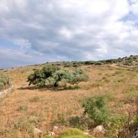 Land plot in Greece