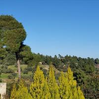 Другое в Греции, 140 кв.м.