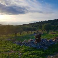 Земельный участок в Греции