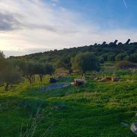 Земельный участок в Греции