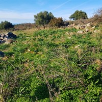 Land plot in Greece