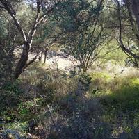 Земельный участок в Греции