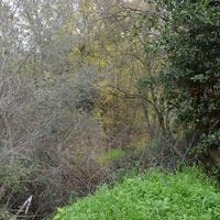 Земельный участок в Греции