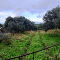 Land plot in Greece