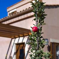 Villa in Greece, 315 sq.m.