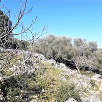 Земельный участок в Греции