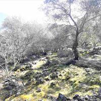 Земельный участок в Греции