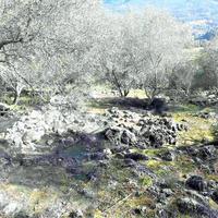 Земельный участок в Греции