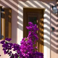 Villa in Greece, 315 sq.m.