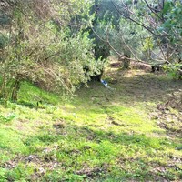 Land plot in Greece