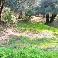 Land plot in Greece