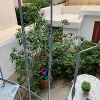 Бизнес-центр в Греции, 180 кв.м.