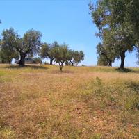 Land plot in Greece