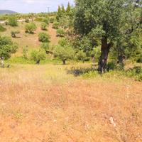Land plot in Greece