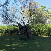 Other in Greece, 496 sq.m.