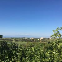 Other in Greece, 496 sq.m.