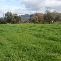 Land plot in Greece