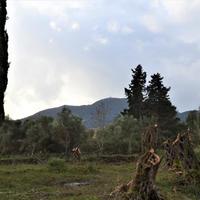 Land plot in Greece, 65 sq.m.