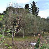 Land plot in Greece, 65 sq.m.