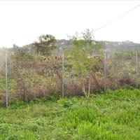Land plot in Greece