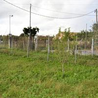 Land plot in Greece