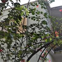 Другое в Греции, 355 кв.м.