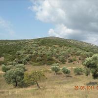 Land plot in Greece