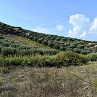 Земельный участок в Греции