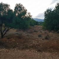 Land plot in Greece