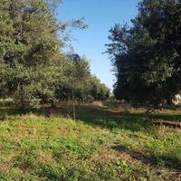 Land plot in Greece
