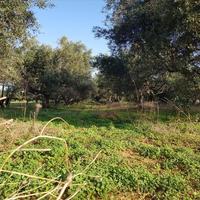 Land plot in Greece