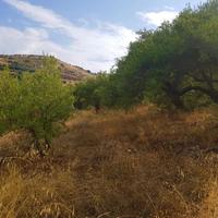 Land plot in Greece